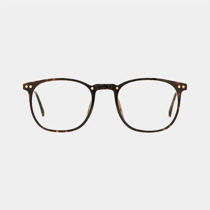 Bæredygtige briller Nori